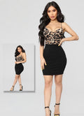 aileen 504